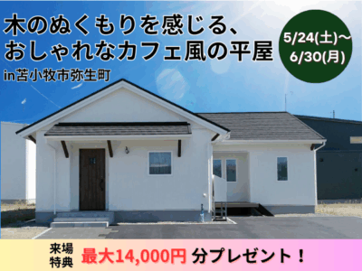【見たことのない平屋】木のぬくもりを感じる、おしゃれなカフェ風の平屋モデルハウス【29坪3LDK】
